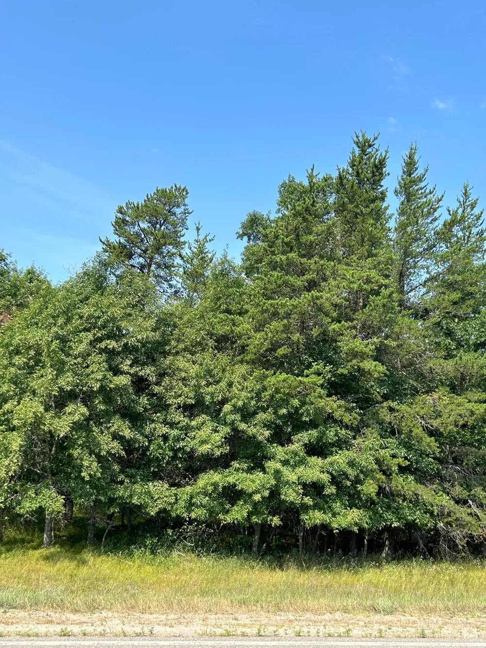 417 Henrietta Avenue Park Rapids, MN 56470
