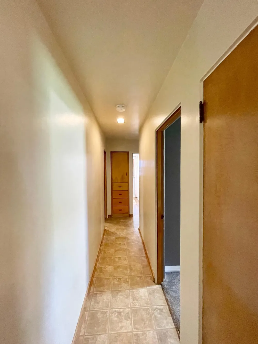 16 S Paffrath Avenue Springfield, MN 56087