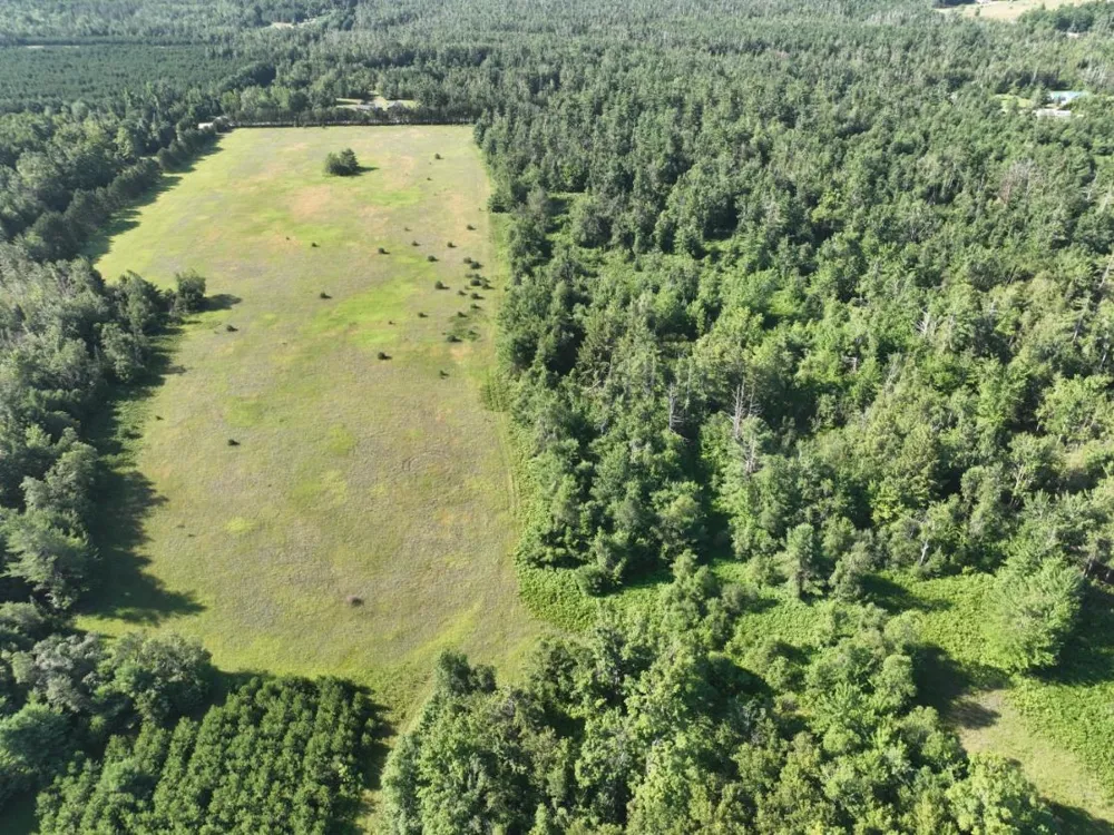628 Badgley Road Bagley Township, MI 49795