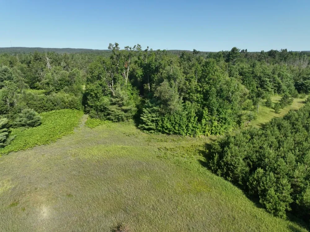 628 Badgley Road Bagley Township, MI 49795