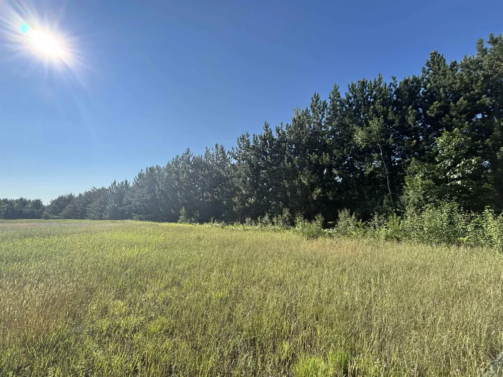 628 Badgley Road Bagley Township, MI 49795
