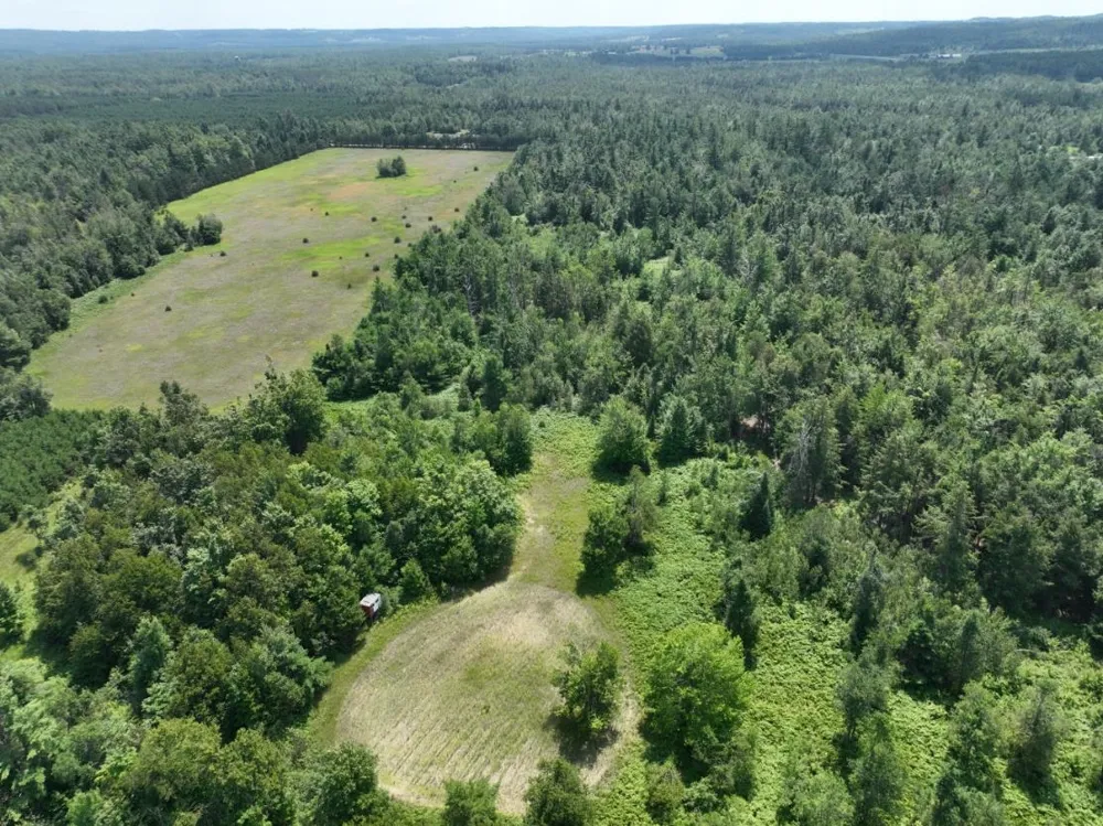 628 Badgley Road Bagley Township, MI 49795