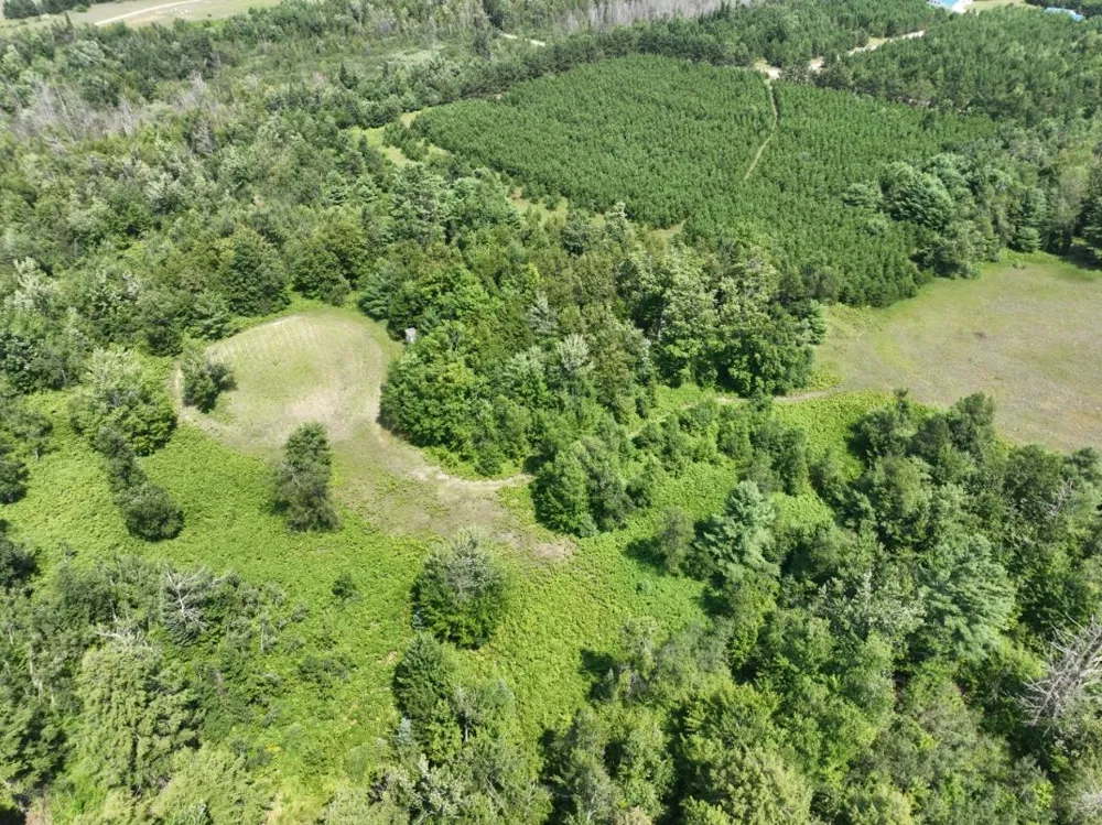 628 Badgley Road Bagley Township, MI 49795