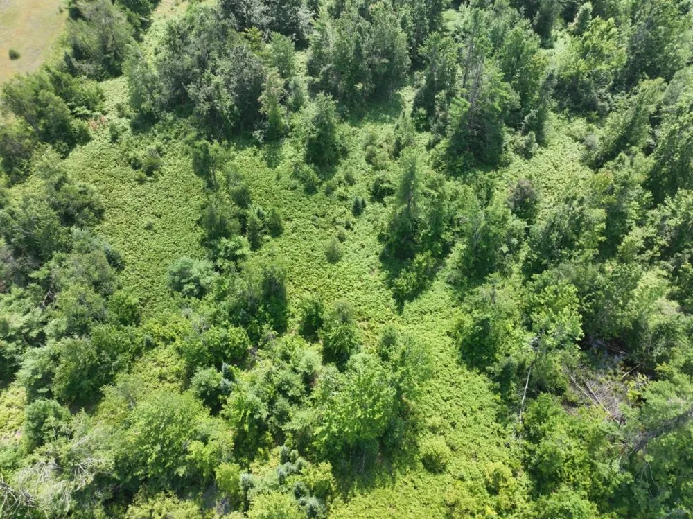 628 Badgley Road Bagley Township, MI 49795