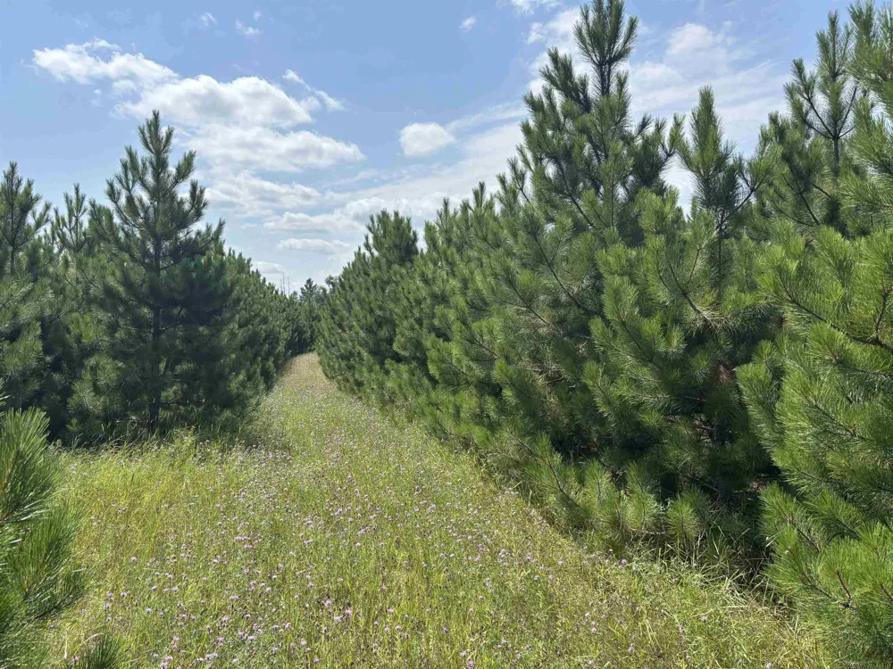 628 Badgley Road Bagley Township, MI 49795