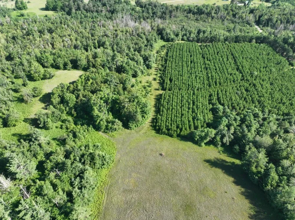 628 Badgley Road Bagley Township, MI 49795