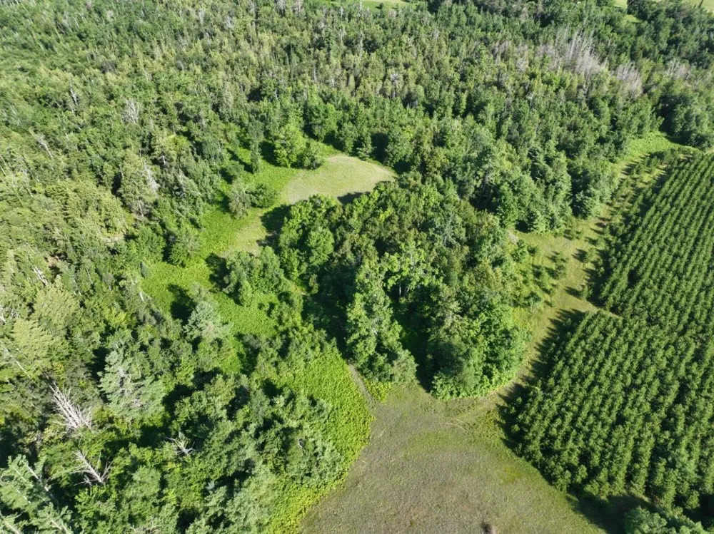 628 Badgley Road Bagley Township, MI 49795