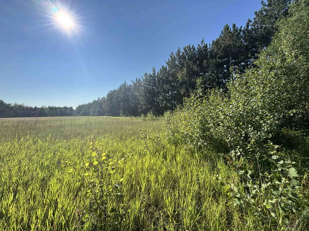 628 Badgley Road Bagley Township, MI 49795