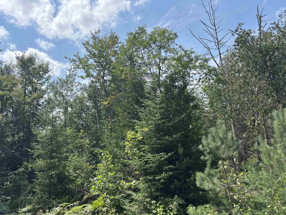 628 Badgley Road Bagley Township, MI 49795