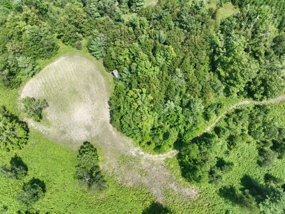 628 Badgley Road Bagley Township, MI 49795
