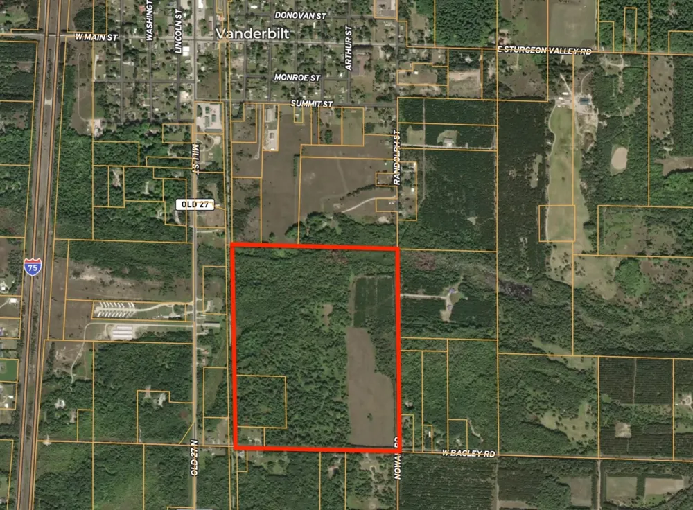 628 Badgley Road Bagley Township, MI 49795