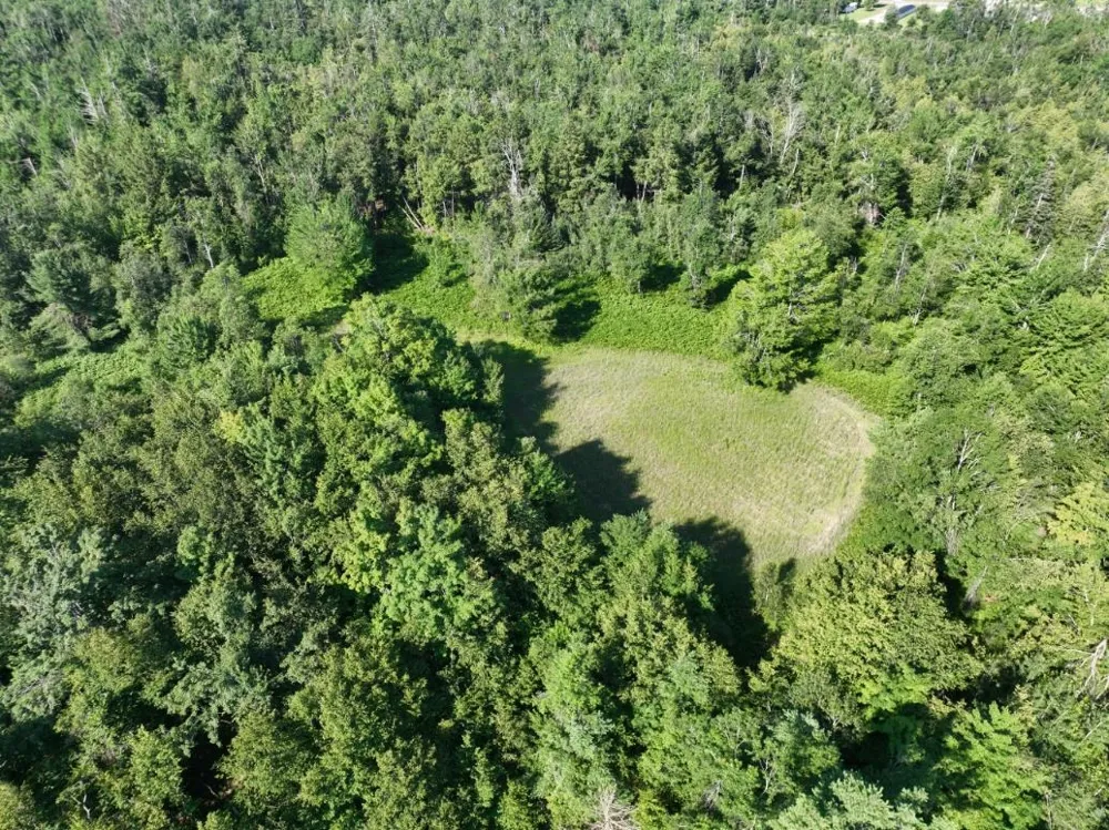 628 Badgley Road Bagley Township, MI 49795
