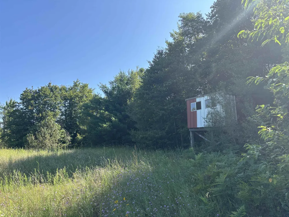 628 Badgley Road Bagley Township, MI 49795