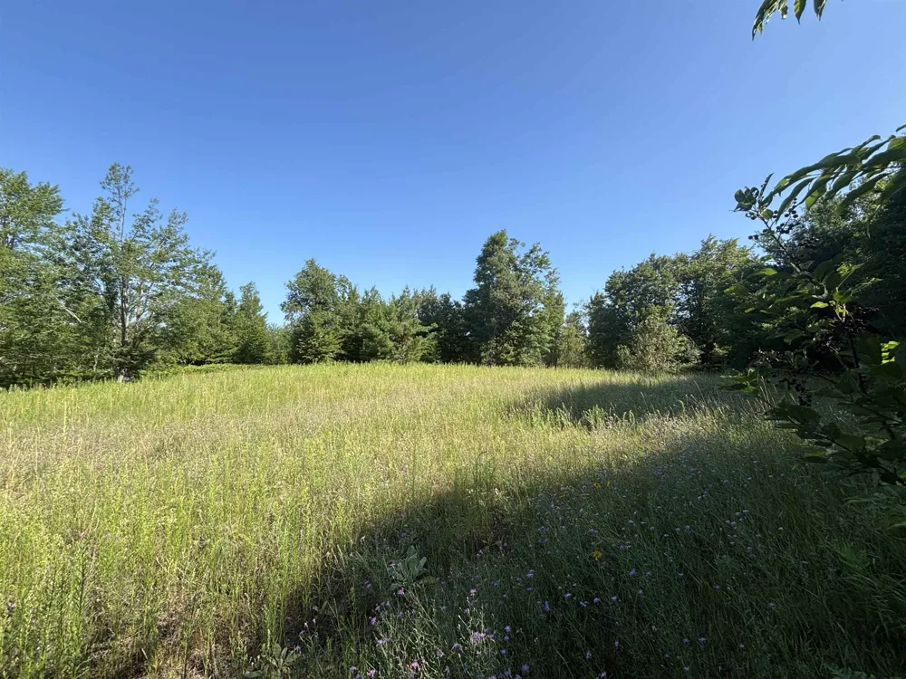628 Badgley Road Bagley Township, MI 49795