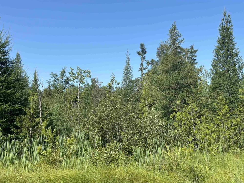 628 Badgley Road Bagley Township, MI 49795