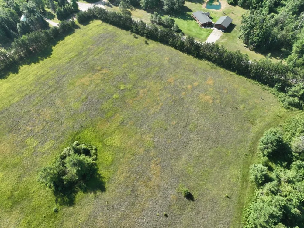 628 Badgley Road Bagley Township, MI 49795