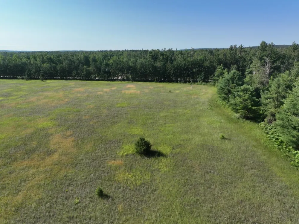 628 Badgley Road Bagley Township, MI 49795