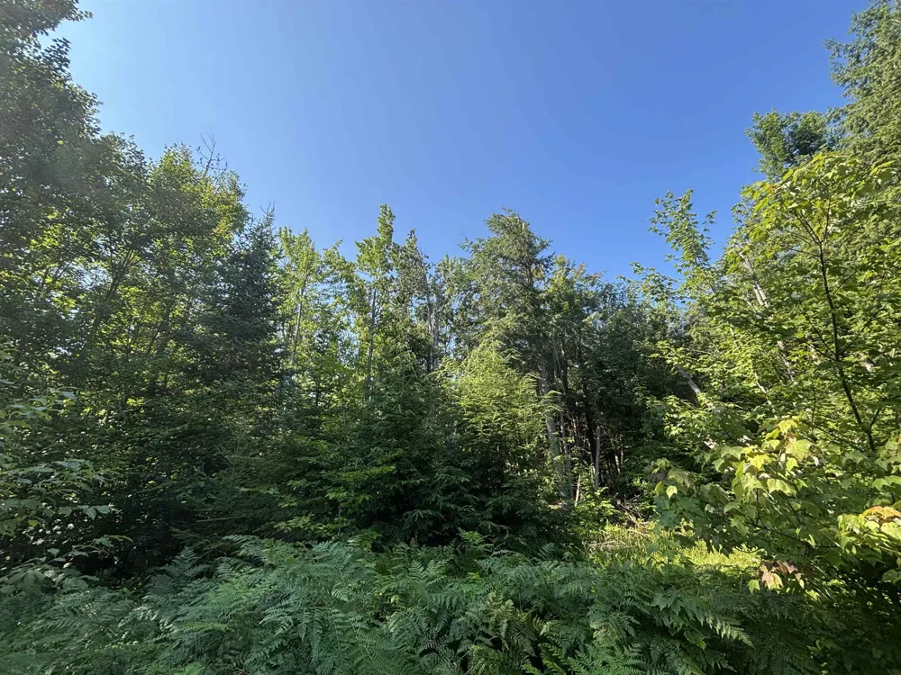 628 Badgley Road Bagley Township, MI 49795