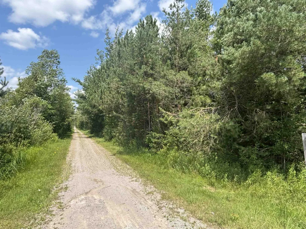 628 Badgley Road Bagley Township, MI 49795