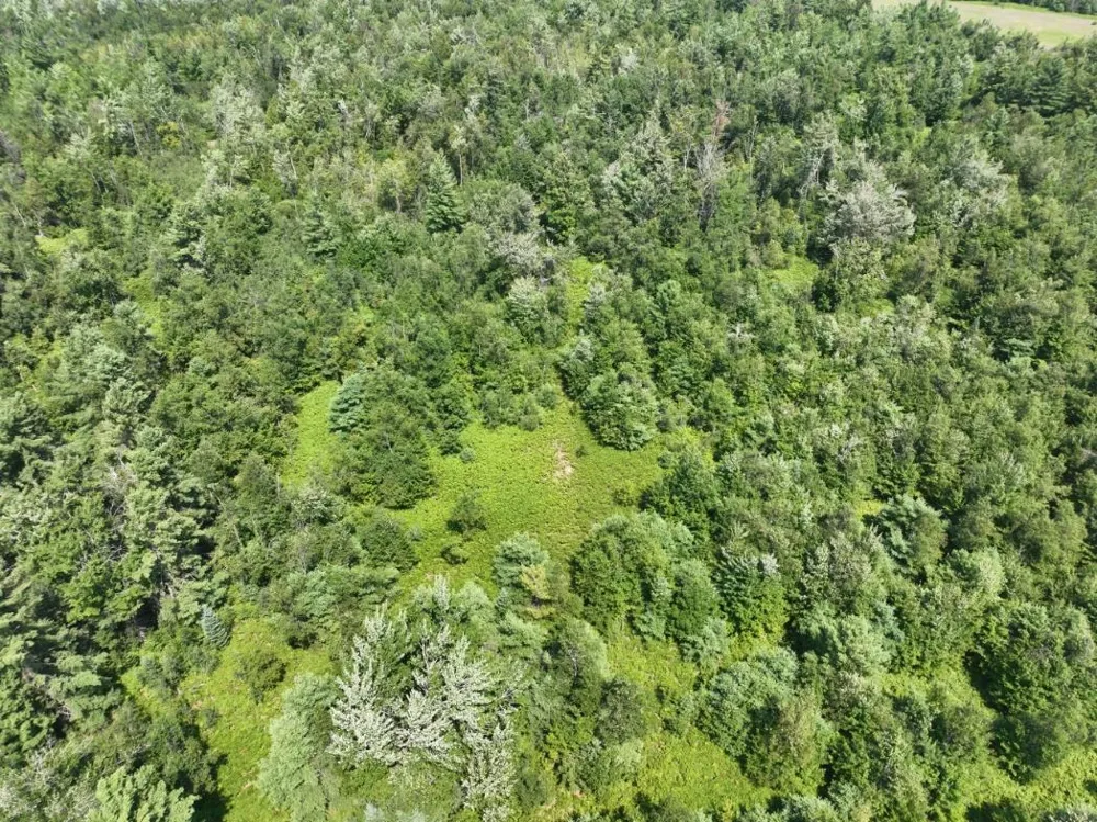 628 Badgley Road Bagley Township, MI 49795