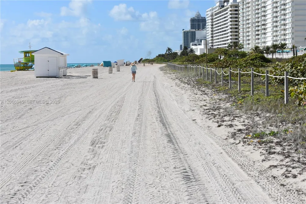 6365 Collins Ave #3804 Miami Beach, FL 33141