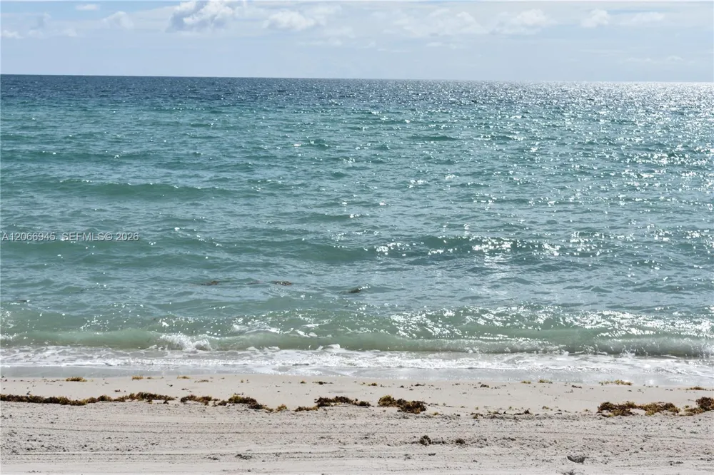 6365 Collins Ave #3804 Miami Beach, FL 33141