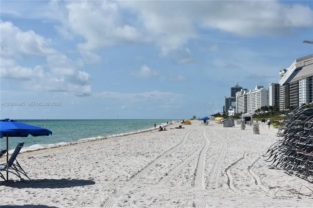 6365 Collins Ave #3804 Miami Beach, FL 33141
