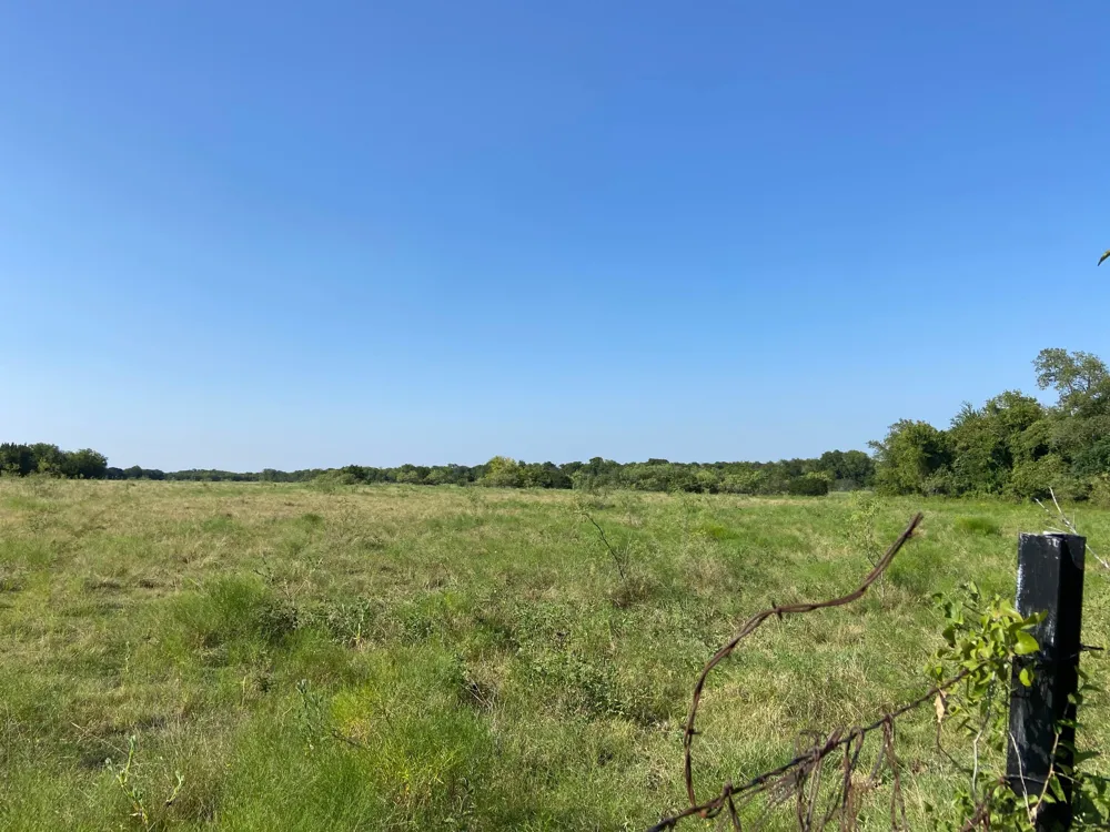 HCR 1195 ROAD Blum, TX 76627