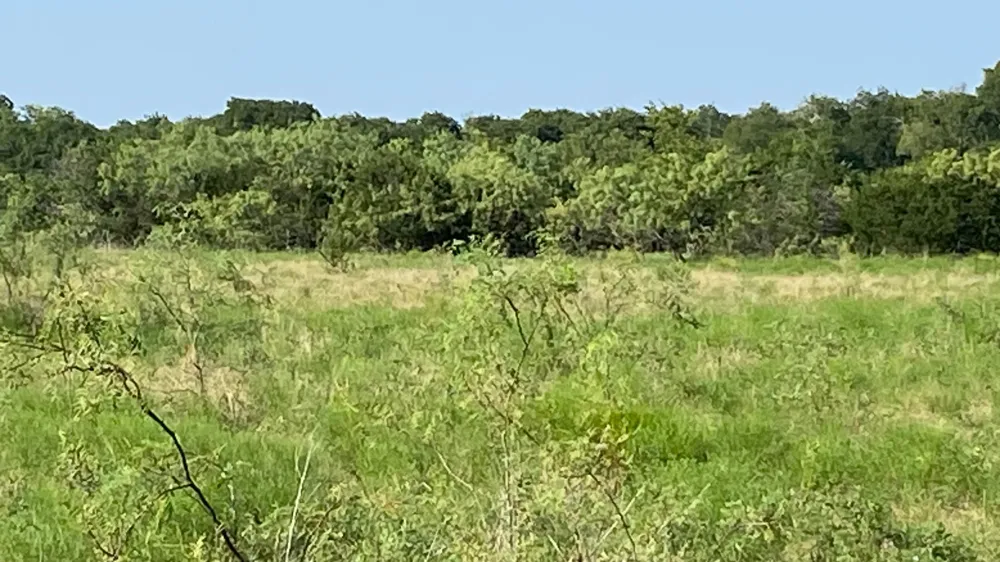 HCR 1195 ROAD Blum, TX 76627