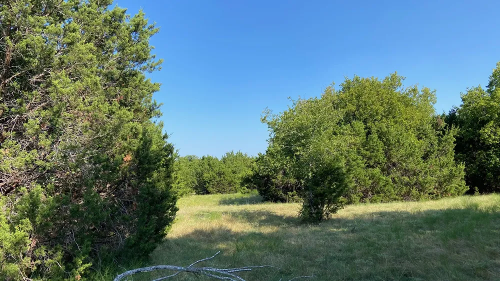 HCR 1195 ROAD Blum, TX 76627