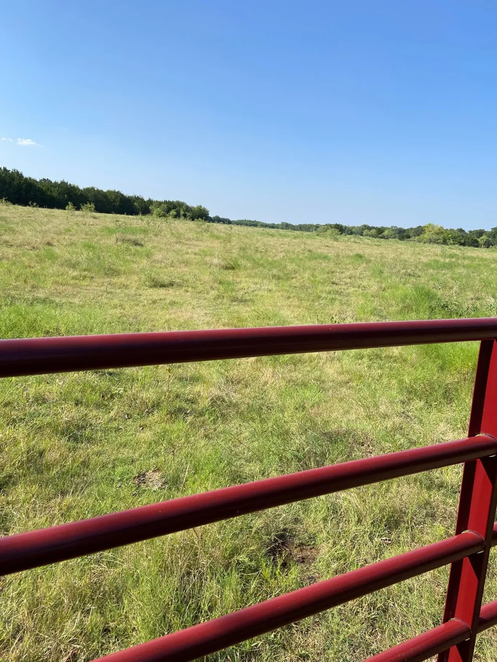 HCR 1195 ROAD Blum, TX 76627