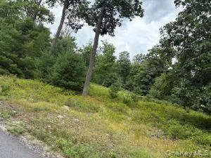 695 Big Pond Road Huguenot, NY 12746