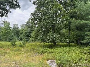 695 Big Pond Road Huguenot, NY 12746