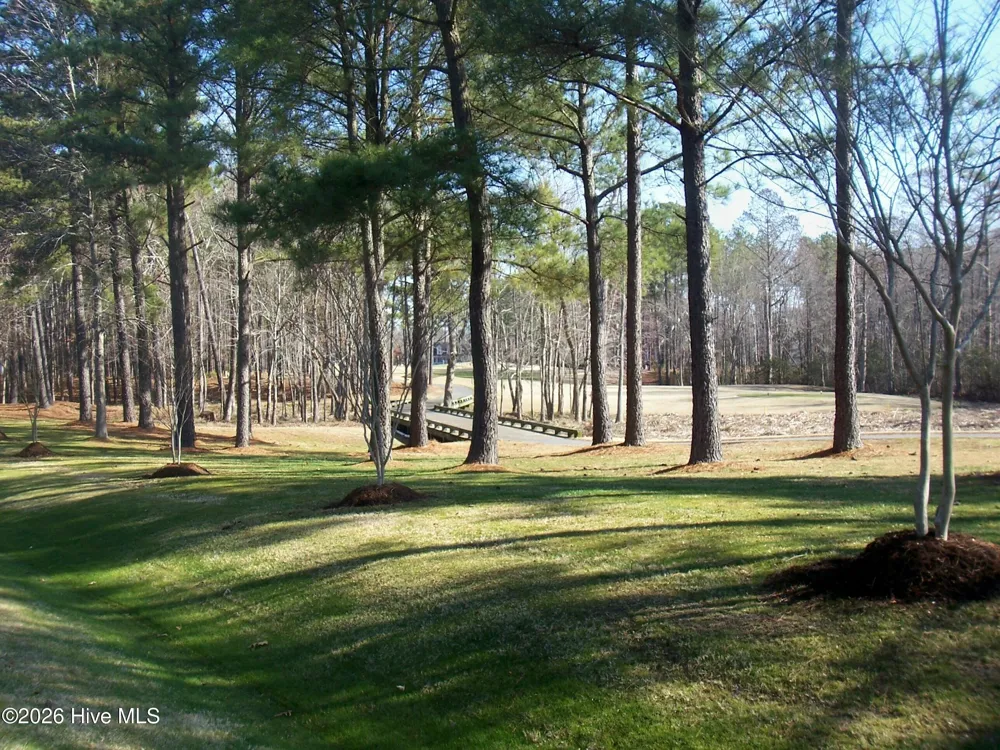 55 Randolph Loop Hertford, NC 27944