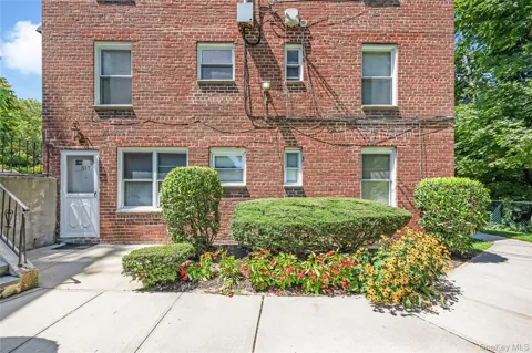 51 Edwards Street #T