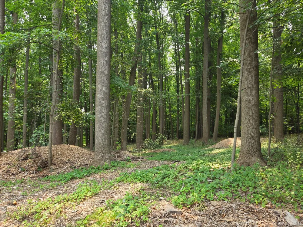 Lot 4 Bianca Way Amawalk, NY 10501