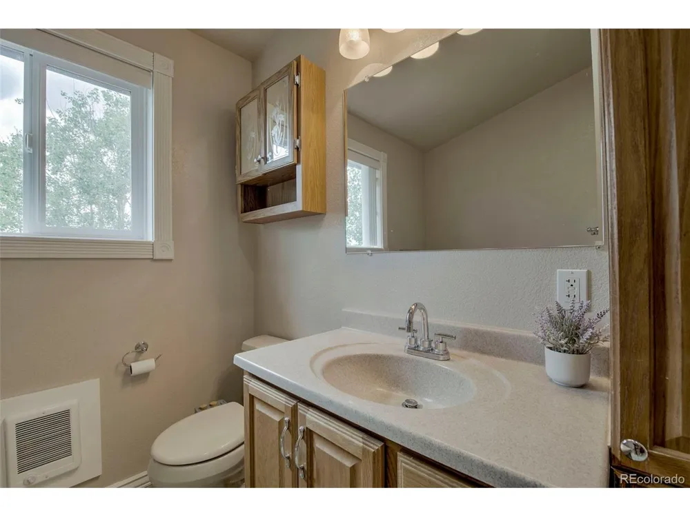 119 Bristlecone Lane Fairplay, CO 80440