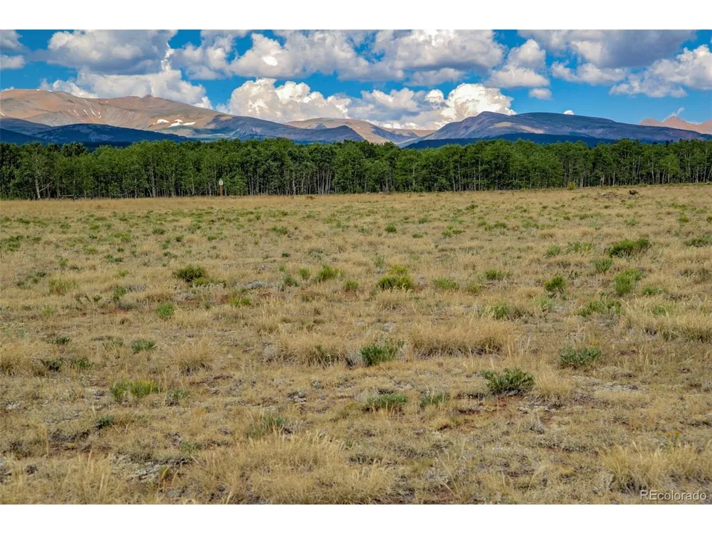 119 Bristlecone Lane Fairplay, CO 80440