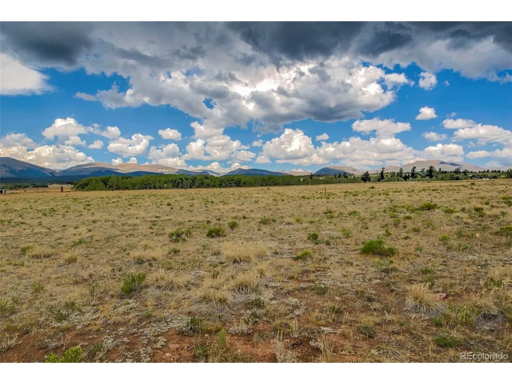 119 Bristlecone Lane Fairplay, CO 80440