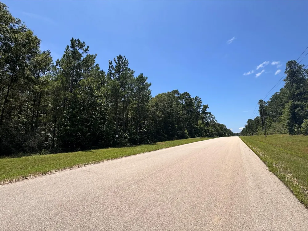 231 Iron Horse Road Willis, TX 77378