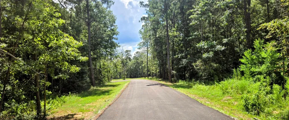 231 Iron Horse Road Willis, TX 77378