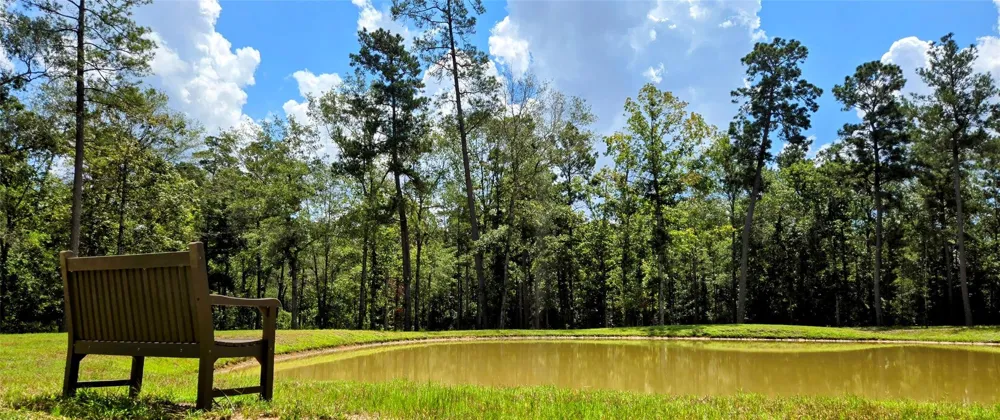 231 Iron Horse Road Willis, TX 77378