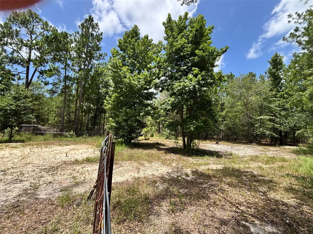 1603 Dammom Lane Kountze, TX 77663