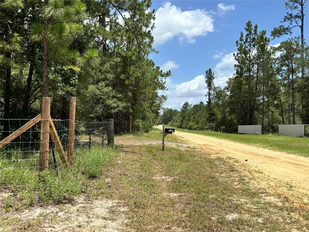 1603 Dammom Lane Kountze, TX 77663