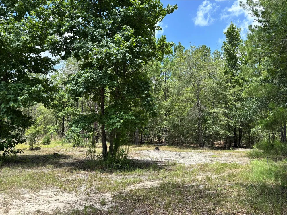 1603 Dammom Lane Kountze, TX 77663