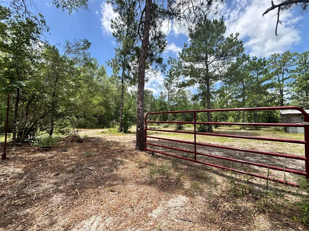 1603 Dammom Lane Kountze, TX 77663
