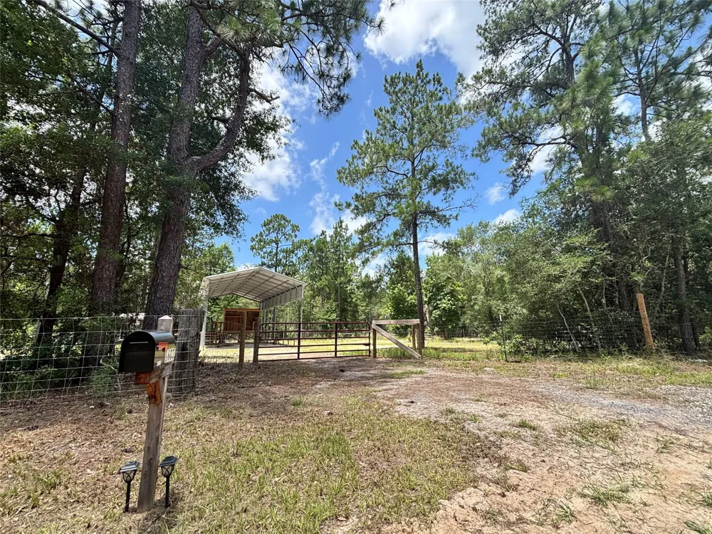1603 Dammom Lane Kountze, TX 77663