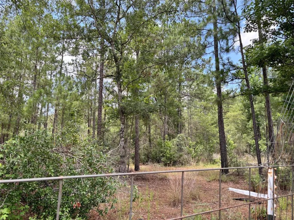1603 Dammom Lane Kountze, TX 77663
