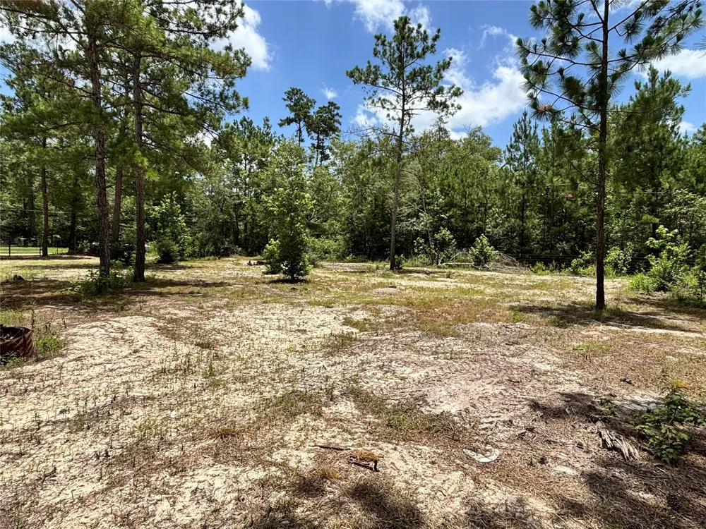 1603 Dammom Lane Kountze, TX 77663