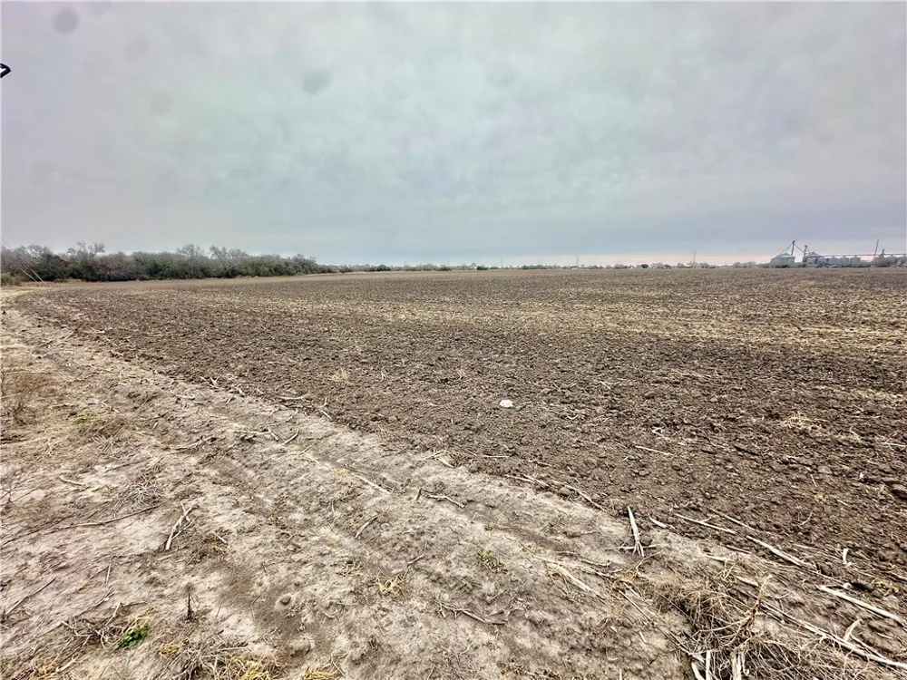 Hwy 44 Banquete, TX 78339